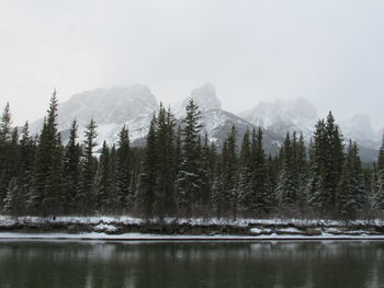 Scenic view of lake by trees against sky