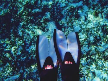 Swim fins in shallow water