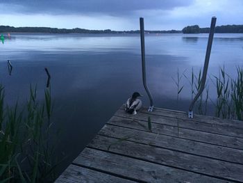 Pier on lake