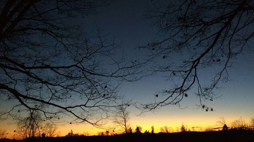 Silhouette of trees at sunset