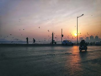 Silhouette birds on city street against sky during sunset