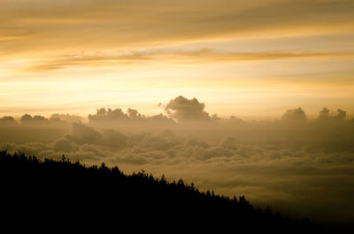 Silhouette trees against sky during sunset