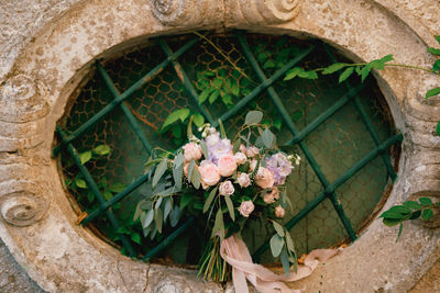 Directly above shot of flowering plants