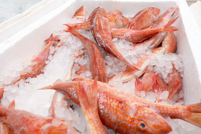 Close-up of fish for sale in market