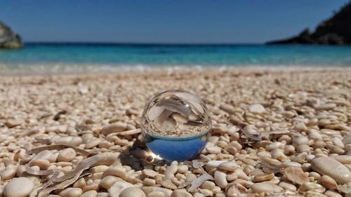 Close-up of shell on beach