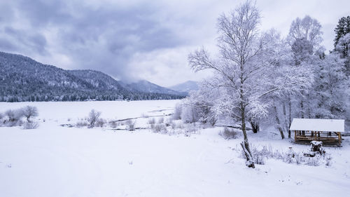 Scenic view of snow covered landscape