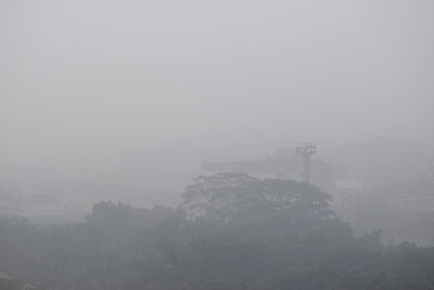 Trees against sky during foggy weather