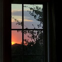 Silhouette trees against sky seen through window