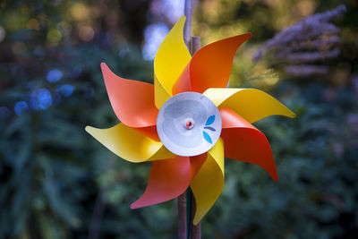 Close-up of multi colored toy hanging on tree