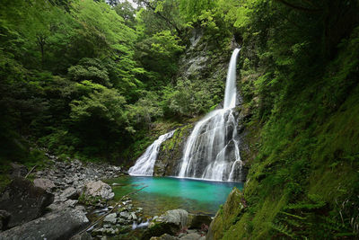 Scenic view of waterfall in forest