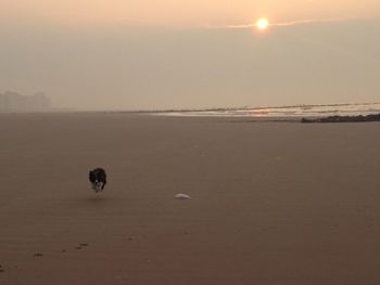 Scenic view of sea at sunset