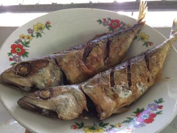 Close-up of food in plate