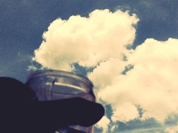 Close-up of man holding tree against sky