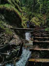 High angle view of footbridge over stream in forest