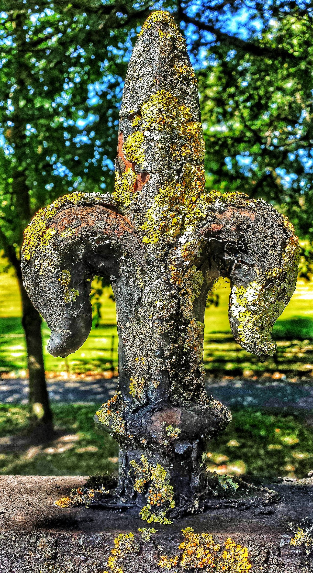 Old Fence