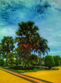 Trees on field against cloudy sky