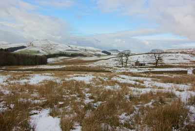Scenic view of field against sky during winter