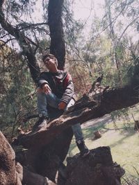 Young man sitting on tree trunk in forest