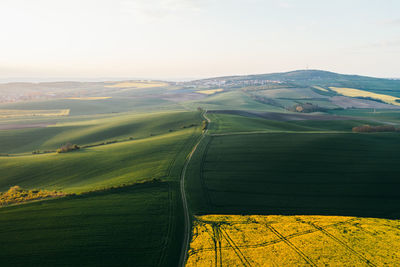 Scenic view of agricultural field against sky