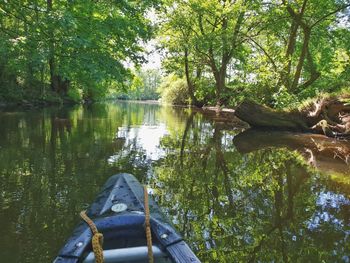 Scenic view of lake in forest