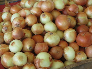 High angle view of vegetables for sale in market