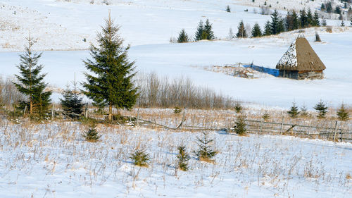 Scenic view of snow covered field