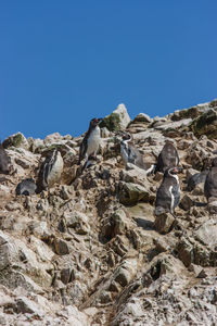 Rocks against clear blue sky