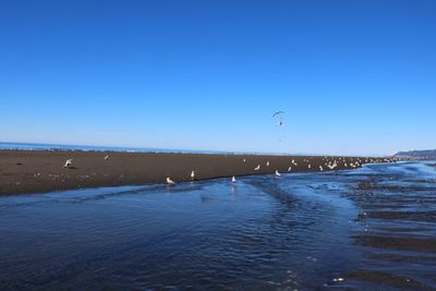 Scenic view of sea against clear blue sky