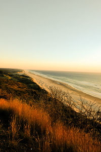 Scenic view of sea against clear sky