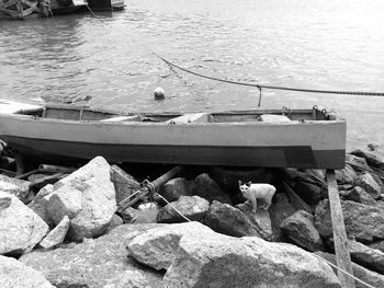 Boats moored at sea shore