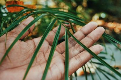 Close-up of hand