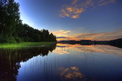 Reflection of trees in calm lake