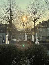 Bare trees by buildings against sky at dusk