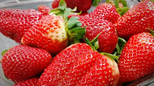 Close-up of strawberries