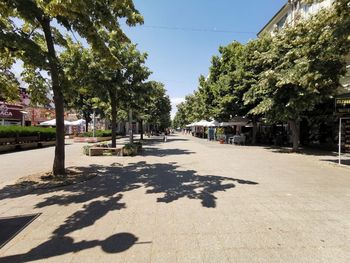 Shadow of trees on footpath in city on sunny day