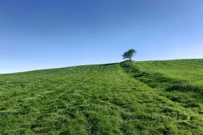 Scenic view of land against clear sky