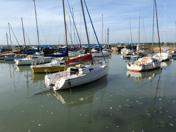 Sailboats moored in marina