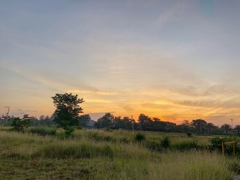 Scenic view of field against sky during sunset