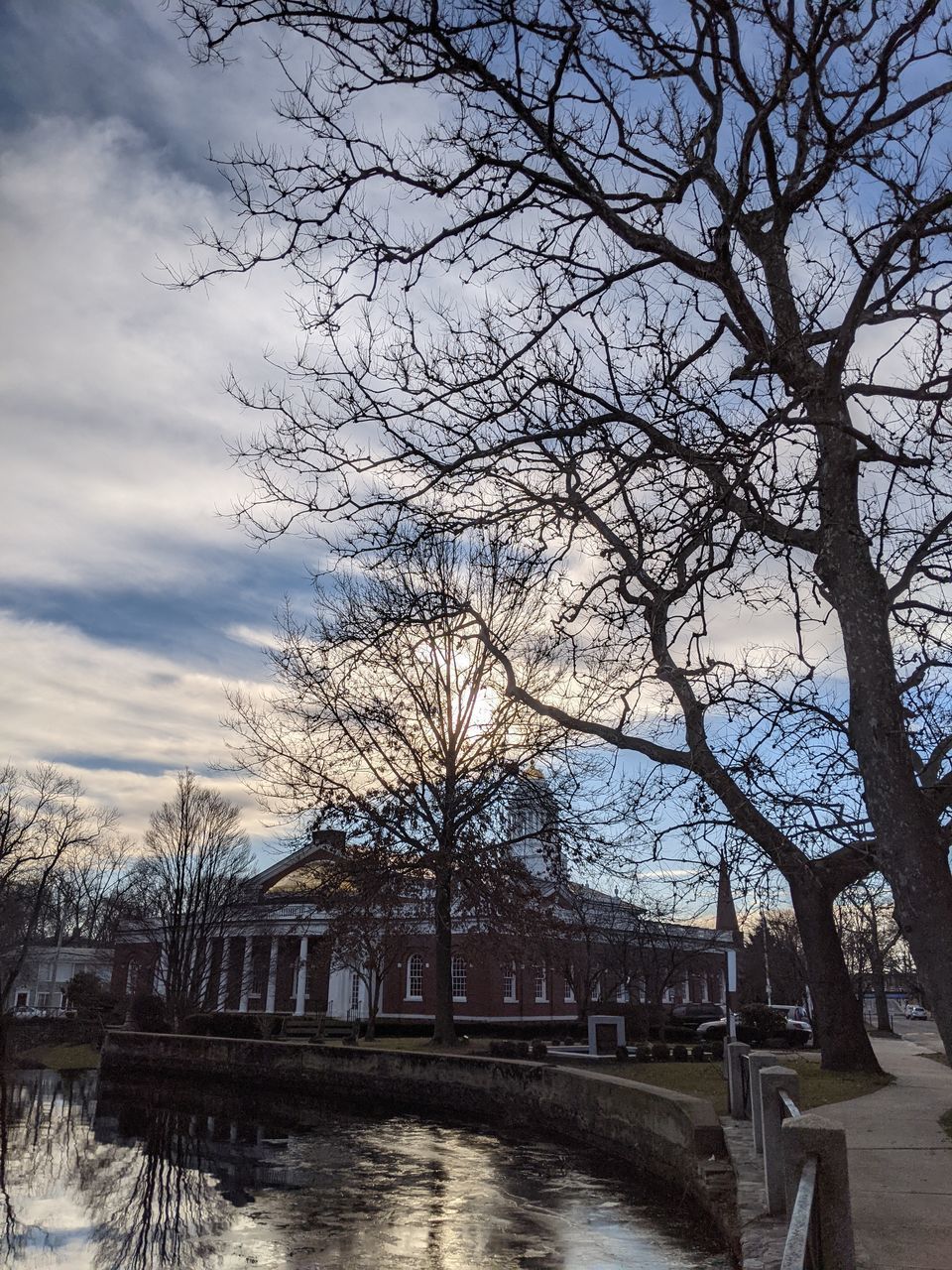 BARE TREES BY FOOTPATH IN PARK AGAINST BUILDINGS