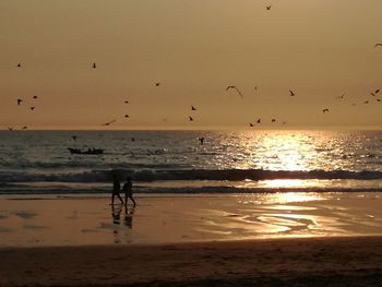 Silhouette birds on beach during sunset