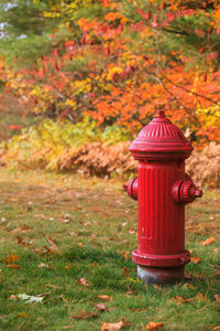 Red fire hydrant on field during autumn
