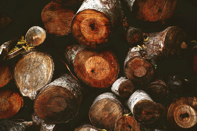 Full frame shot of logs