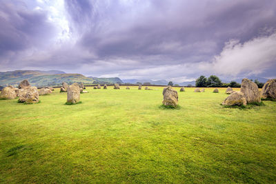 Scenic view of field against sky