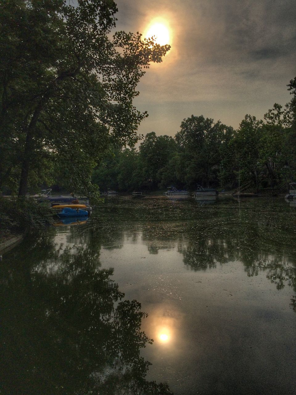 water, reflection, tree, lake, sky, tranquility, tranquil scene, scenics, beauty in nature, nature, sunset, transportation, cloud - sky, waterfront, silhouette, mode of transport, idyllic, sun, nautical vessel, river