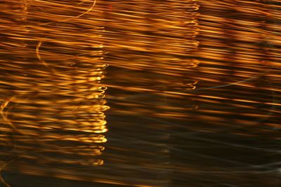 Reflection of sky in water