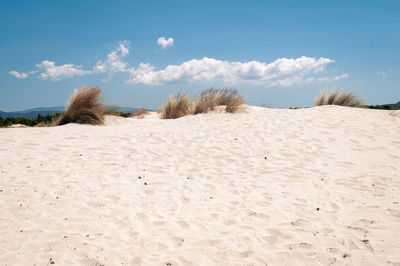 Scenic view of sand dune on beach against sky