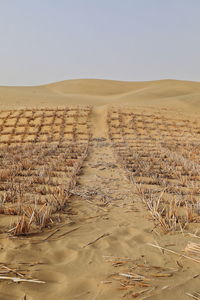 Scenic view of desert against clear sky