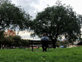 Man in park against sky