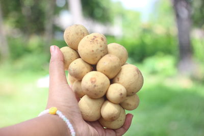 Close-up of hand holding berries