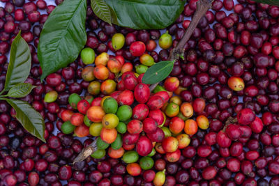 Full frame shot of fruits in market